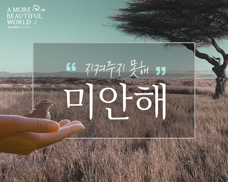지켜주지 못해 미안해