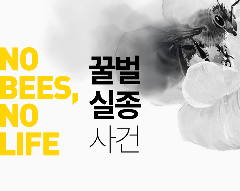 꿀벌 실종 사건