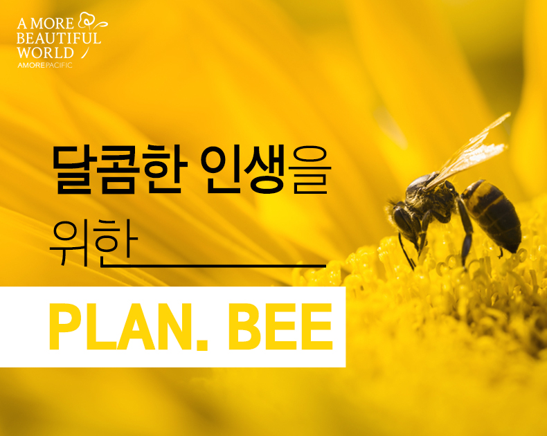 달콤한 인생을 위한 Plan. Bee