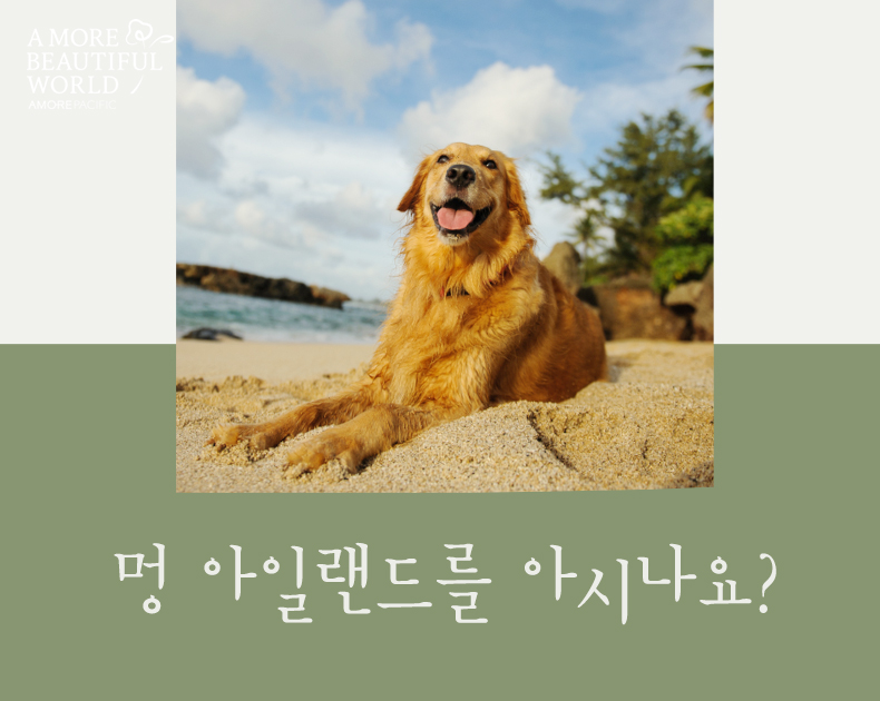 멍 아일랜드를 아시나요?