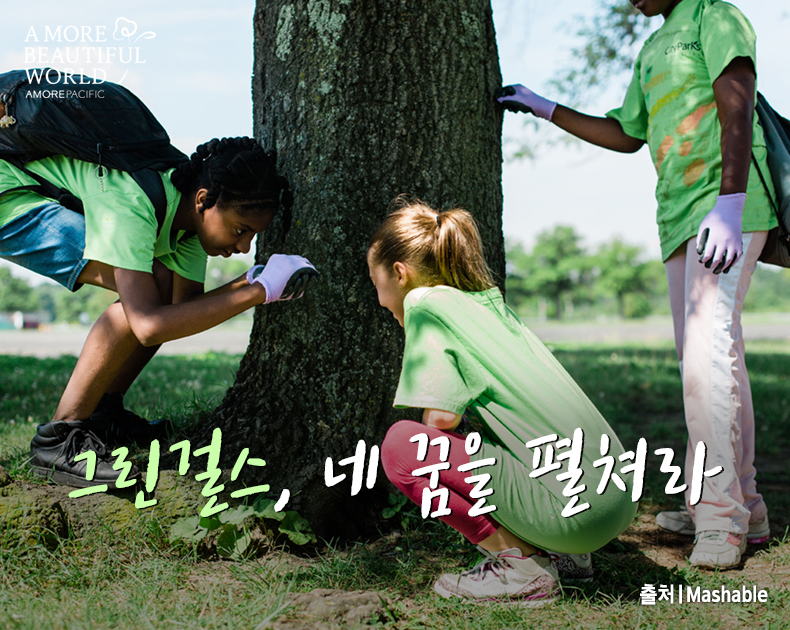 그린걸스, 네 꿈을 펼쳐라!