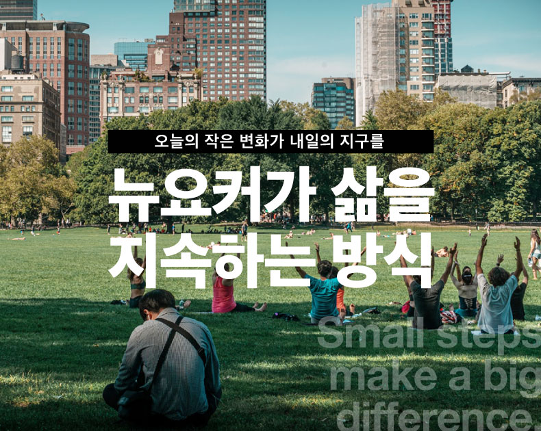 뉴요커