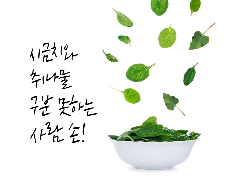 시금치 취나물