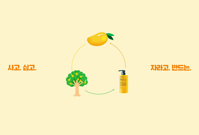 프리메라 let’s love 캠페인의 착한 사이클 순환 1.자무이 지역에서 망고나무 재배 2. 망고씨앗 수매 3.망고 씨앗 가공 및 망고버터 제조 4.망고버터 컴포팅 라인 원료로 사용 5.제품 판매 수익금으로 망고 나무 기부